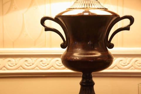 Hypo-allergenic bedding, desk, laptop workspace, iron/ironing board