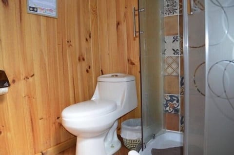 Shower, rainfall showerhead, towels, soap