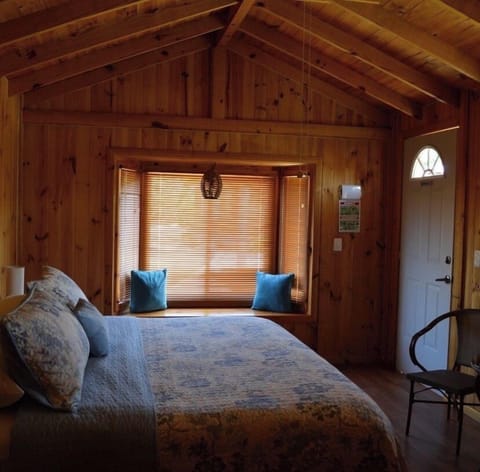 Deluxe Cabin | View from room