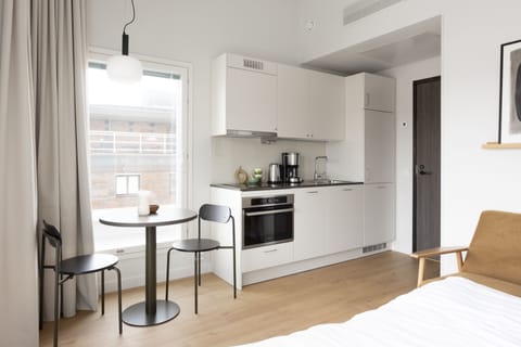 Standard studio with a rooftop terrace | Private kitchen | Mini-fridge, microwave, stovetop, dishwasher