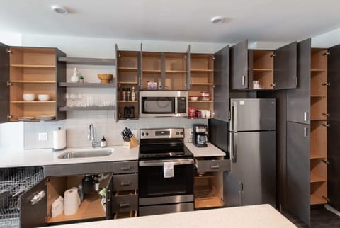 Deluxe Apartment | Private kitchen | Fridge, microwave, oven, stovetop