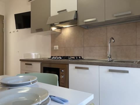 Apartment, 2 Bedrooms, Balcony | Private kitchen