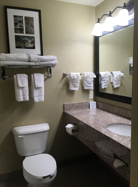 Combined shower/tub, free toiletries, hair dryer, towels