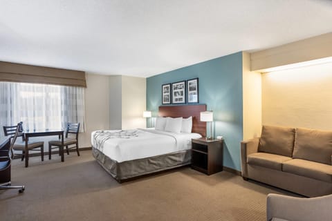 1 King Bed, 1-Person Pullout Sofa, Non-Smoking, No Pets Allowed | In-room safe, desk, laptop workspace, blackout drapes