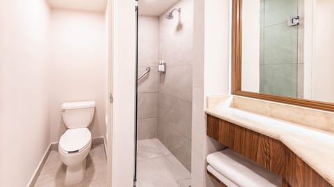 Shower, hydromassage showerhead, free toiletries, hair dryer