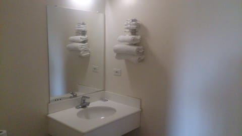 Combined shower/tub, free toiletries, hair dryer, towels