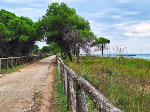 Apartment, 1 Bedroom, Balcony, Garden View | Miscellaneous