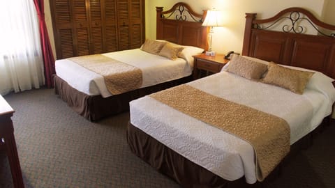 Deluxe Suite | Down comforters, in-room safe, blackout drapes, iron/ironing board