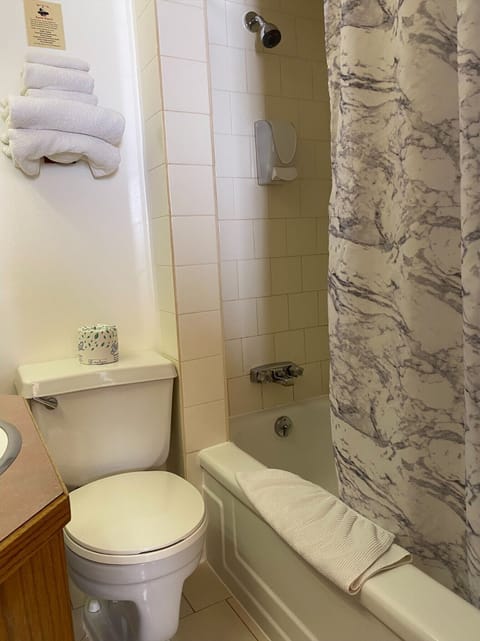 Combined shower/tub, free toiletries, hair dryer, towels