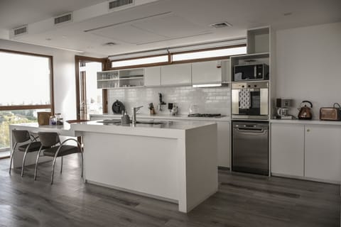 Presidential Apartment | Private kitchen | Microwave, oven, dishwasher, toaster