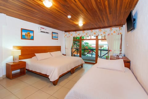 Family Triple Room | View from room