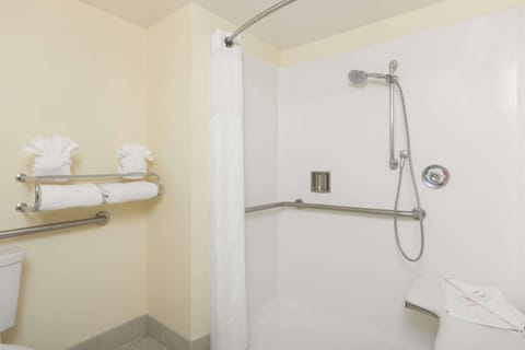 Combined shower/tub, free toiletries, hair dryer, towels