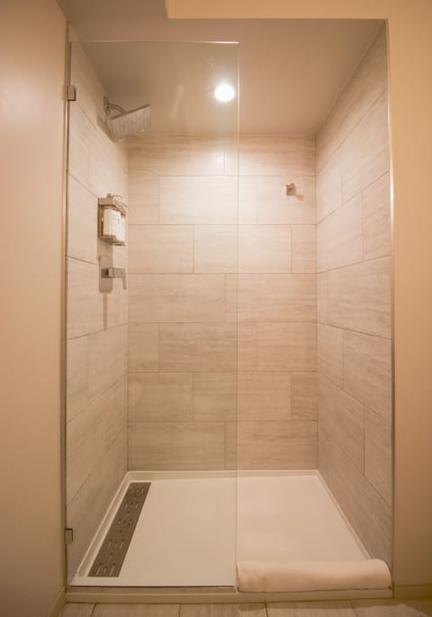 Shower, eco-friendly toiletries, hair dryer, towels