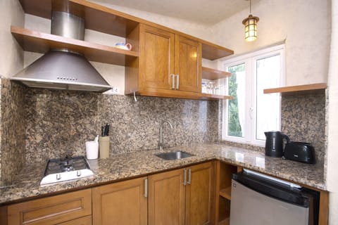 Villa | Private kitchen | Mini-fridge, oven, cookware/dishes/utensils