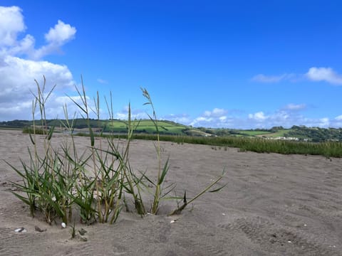 House | Beach