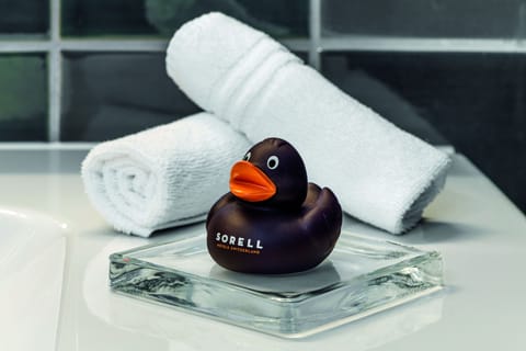 Shower, rainfall showerhead, designer toiletries, hair dryer