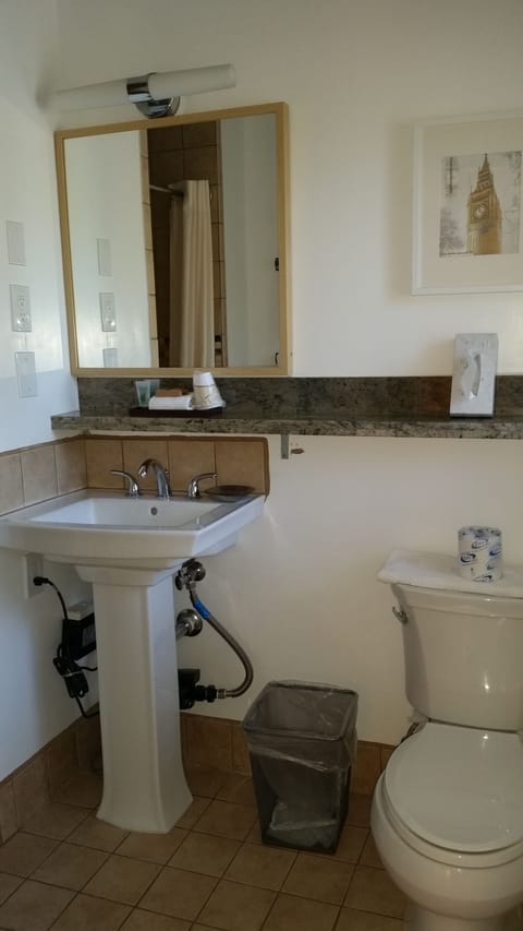 Deluxe Room, 1 Queen Bed | Bathroom | Shower, free toiletries, hair dryer, towels