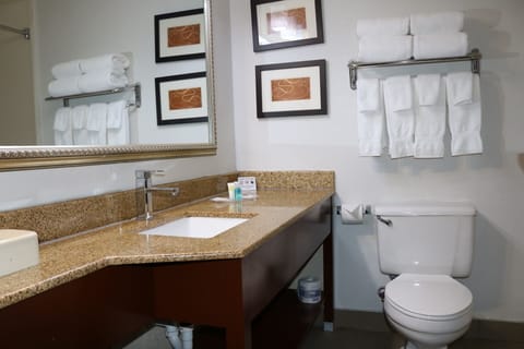 Combined shower/tub, deep soaking tub, free toiletries, hair dryer