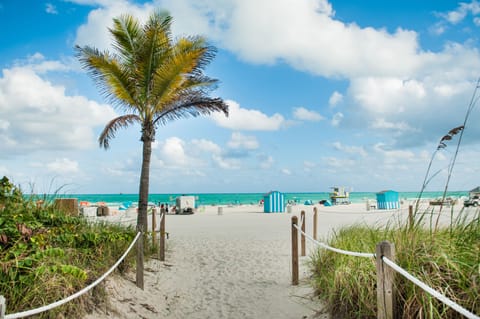 Beach nearby, sun loungers, beach towels