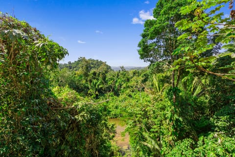 2 Bedroom River View | Mountain view