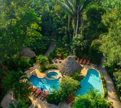 Outdoor pool, sun loungers