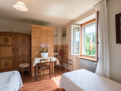 Superior Apartment, Ensuite, Mountain View (1er étage-2 terrasses) | Iron/ironing board