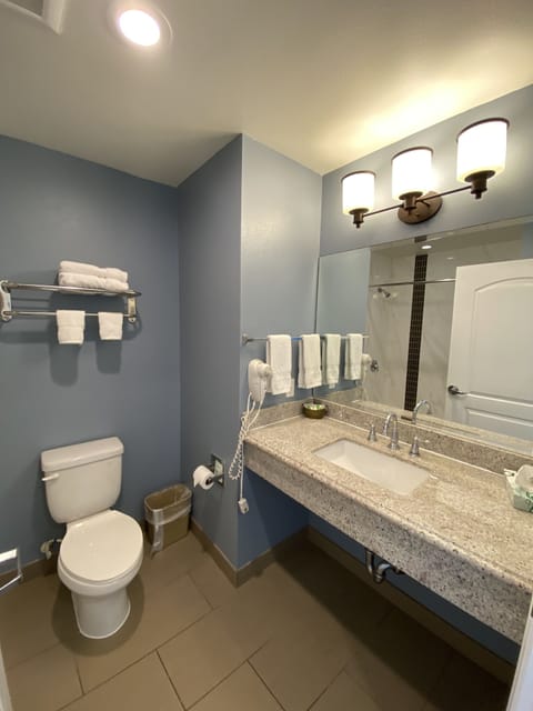 Deluxe Room, 1 King Bed, Ocean View | Bathroom | Free toiletries, hair dryer, towels, shampoo