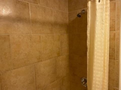 Combined shower/tub, hair dryer, towels