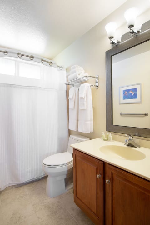 Combined shower/tub, free toiletries, hair dryer, towels