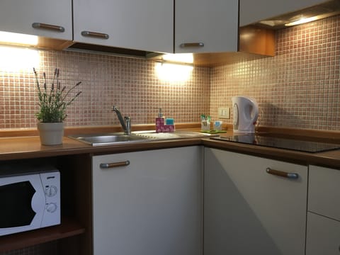 Apartment, 1 Bedroom (max 3) | Private kitchen | Full-size fridge, microwave, stovetop, coffee/tea maker