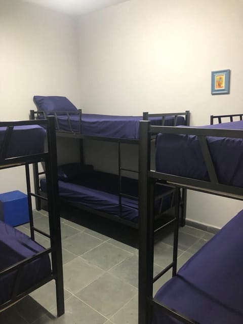 Basic Shared Dormitory | Free wired internet, bed sheets