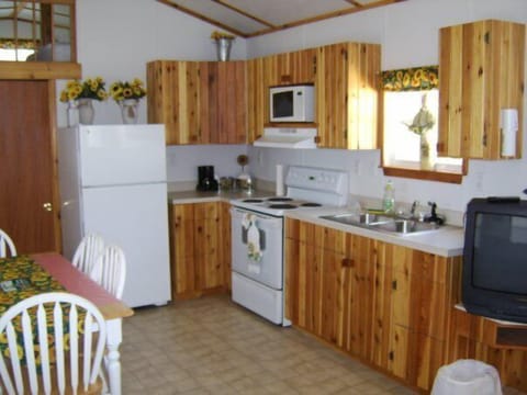 Family Cabin, 1 Bedroom, Kitchen, Hill View - NOT Pet Friendly | Private kitchen | Fridge, microwave, coffee/tea maker