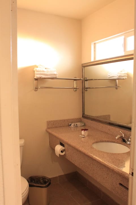 Combined shower/tub, free toiletries, hair dryer, towels