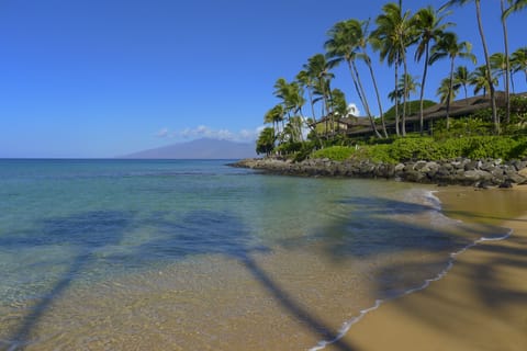 On the beach, sun loungers, beach towels, snorkeling