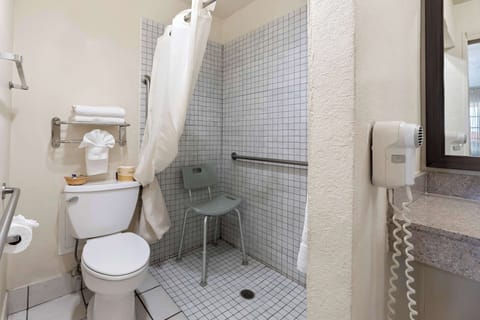 Room, 1 Queen Bed, Accessible, Non Smoking | Bathroom | Combined shower/tub, free toiletries, hair dryer, towels