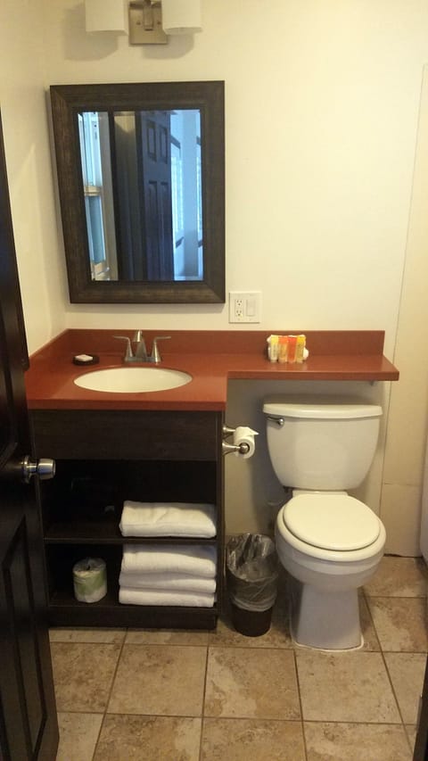 Combined shower/tub, free toiletries, hair dryer, towels