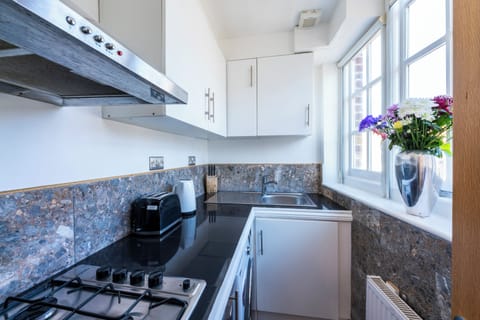 Superior Apartment | Private kitchen | Mini-fridge, microwave, oven, stovetop