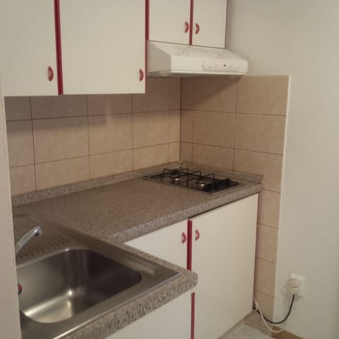 Basic Apartment, 2 Bedrooms, Terrace, Garden Area | Private kitchenette