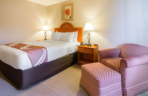 Standard Room, 1 Queen Bed, Non Smoking | In-room safe, iron/ironing board, free cribs/infant beds, rollaway beds