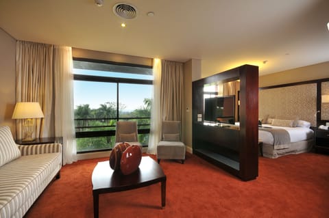 Executive Suite | View from room