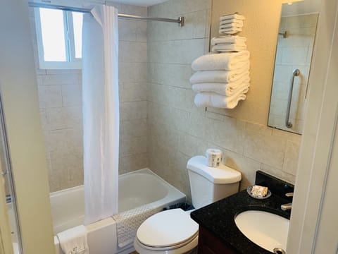 Combined shower/tub, free toiletries, hair dryer, towels