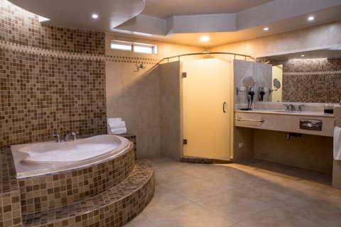 Premium Studio Suite | Bathroom | Combined shower/tub, free toiletries, hair dryer, towels