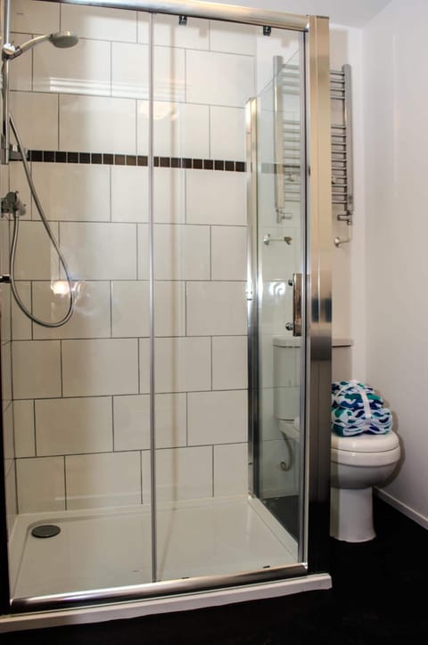 Shower, free toiletries, hair dryer, towels