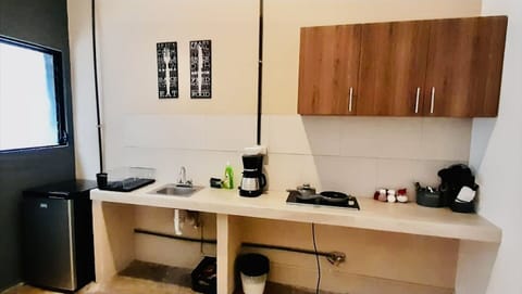 Deluxe Apartment | Private kitchen | Microwave, coffee/tea maker