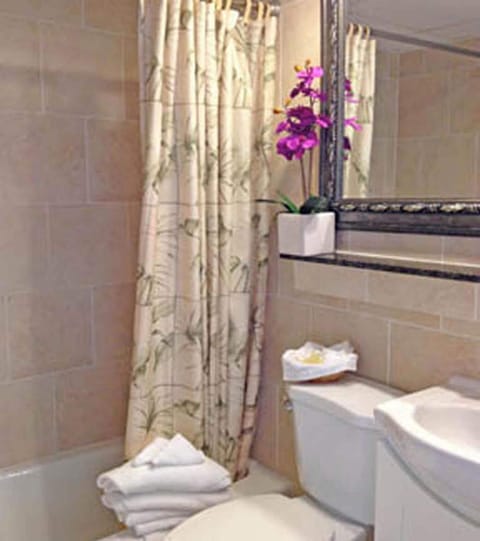 Combined shower/tub, free toiletries, hair dryer