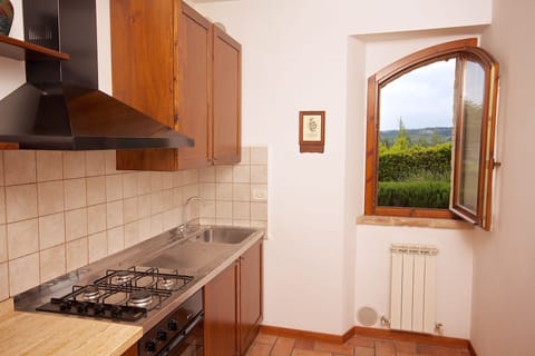 Panoramic Apartment, 1 Bedroom | Private kitchen | Full-size fridge, microwave, oven, stovetop