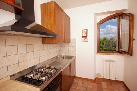 Family Apartment, 2 Bedrooms, Hill View | Private kitchen | Full-size fridge, microwave, oven, stovetop