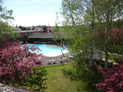 Indoor pool, seasonal outdoor pool, sun loungers