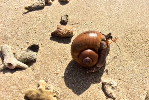 Beach nearby, white sand, beach towels, beach massages