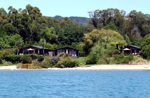 Private beach, sun loungers, beach towels, surfing